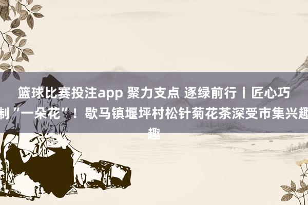 篮球比赛投注app 聚力支点 逐绿前行丨匠心巧制“一朵花”！歇马镇堰坪村松针菊花茶深受市集兴趣