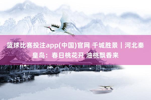 篮球比赛投注app(中国)官网 千城胜景｜河北秦皇岛：春日桃花开 油桃飘香来
