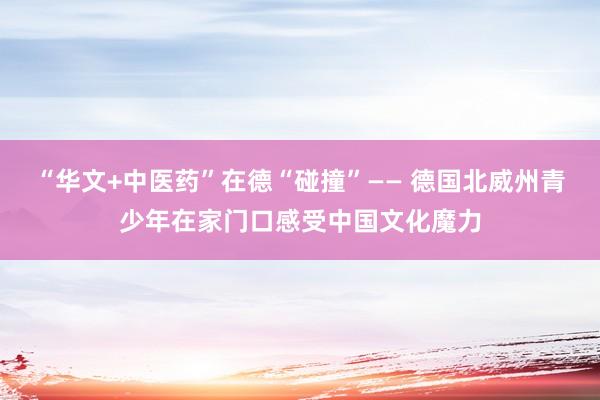 “华文+中医药”在德“碰撞”—— 德国北威州青少年在家门口感受中国文化魔力