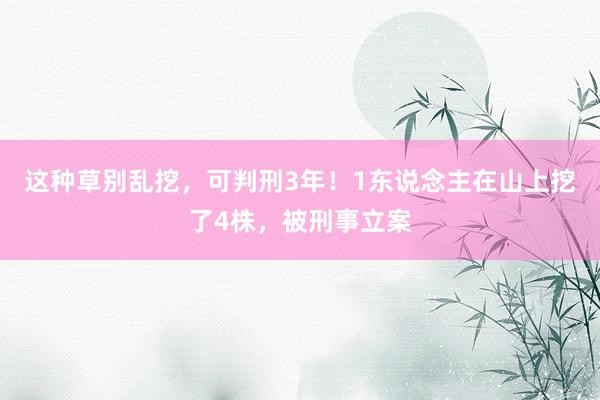 这种草别乱挖，可判刑3年！1东说念主在山上挖了4株，被刑事立案