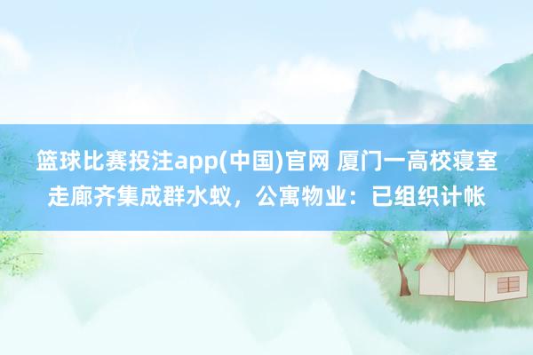 篮球比赛投注app(中国)官网 厦门一高校寝室走廊齐集成群水蚁，公寓物业：已组织计帐