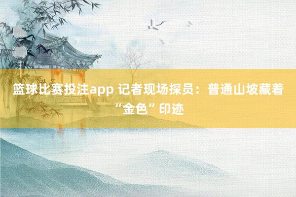 篮球比赛投注app 记者现场探员：普通山坡藏着“金色”印迹