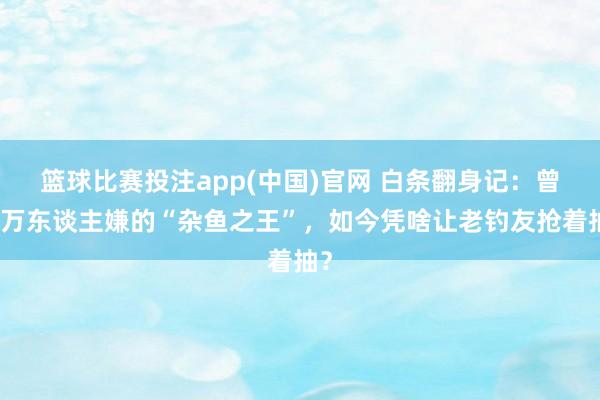 篮球比赛投注app(中国)官网 白条翻身记：曾被万东谈主嫌的“杂鱼之王”，如今凭啥让老钓友抢着抽？