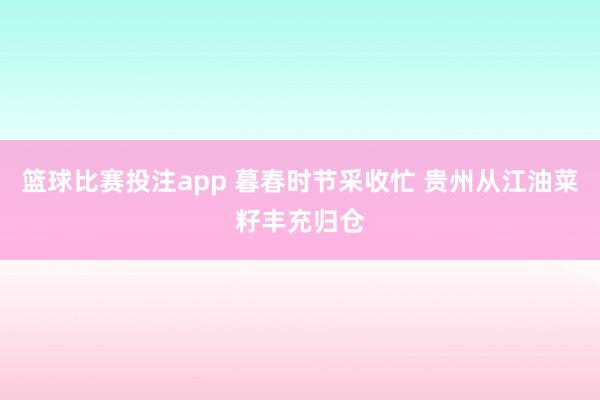 篮球比赛投注app 暮春时节采收忙 贵州从江油菜籽丰充归仓