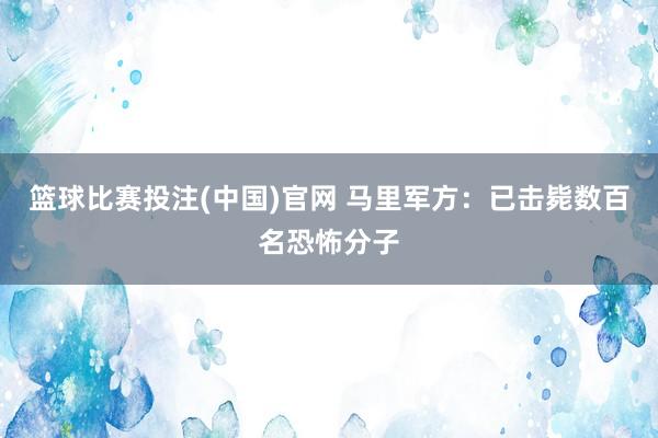 篮球比赛投注(中国)官网 马里军方：已击毙数百名恐怖分子