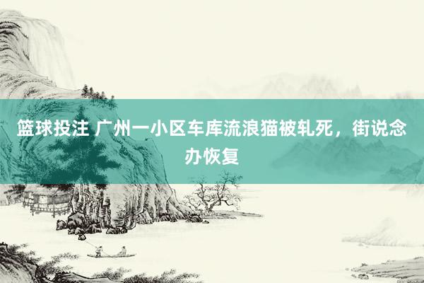 篮球投注 广州一小区车库流浪猫被轧死，街说念办恢复