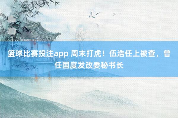 篮球比赛投注app 周末打虎！伍浩任上被查，曾任国度发改委秘书长