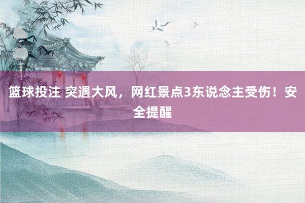 篮球投注 突遇大风，网红景点3东说念主受伤！安全提醒