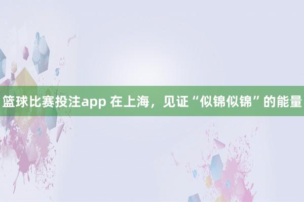 篮球比赛投注app 在上海，见证“似锦似锦”的能量