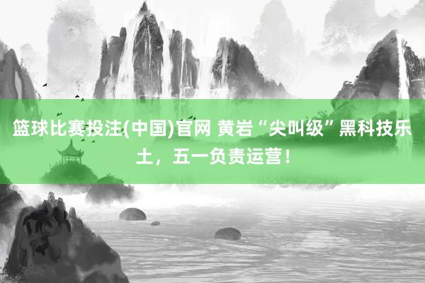 篮球比赛投注(中国)官网 黄岩“尖叫级”黑科技乐土，五一负责运营！