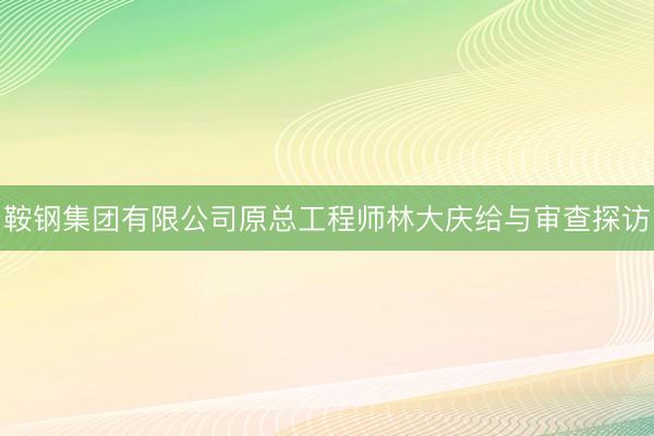 鞍钢集团有限公司原总工程师林大庆给与审查探访