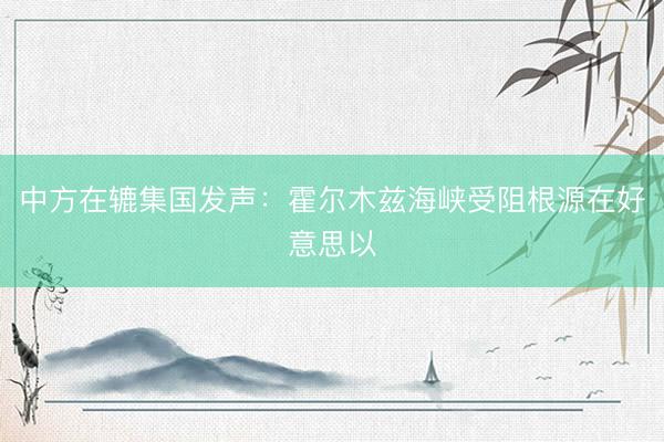 中方在辘集国发声：霍尔木兹海峡受阻根源在好意思以